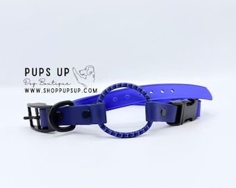 3/4" Width Biothane Bungee Quick Release E Collar Strap, Extra Thin - Waterproof, Smellproof, Durable - Black N Blue Bungee