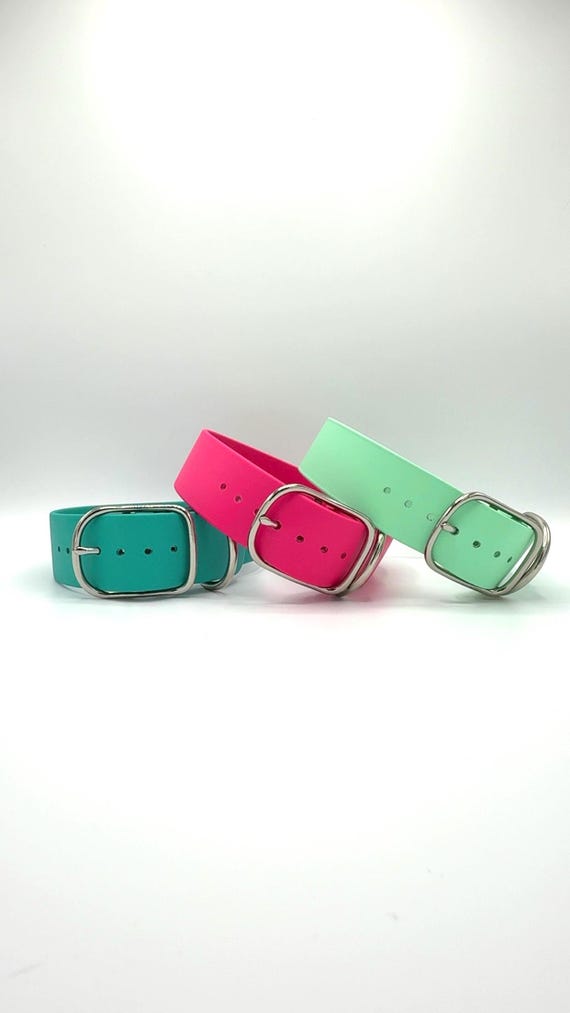 1.5" Biothane Dog Collar - Waterproof, Smellproof, Easy to Clean