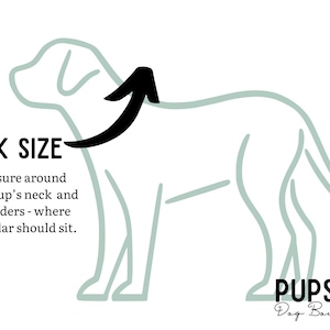 Puede incluir: Diagrama que ilustra c&oacute;mo medir el tama&ntilde;o del cuello de un perro para un collar. El texto dice "TAMA&Ntilde;O DEL CUELLO" con instrucciones para medir alrededor del cuello y los hombros. Una flecha negra indica el &aacute;rea de medici&oacute;n. El logotipo de Pups Up Dog Boutique est&aacute; en la esquina inferior derecha.