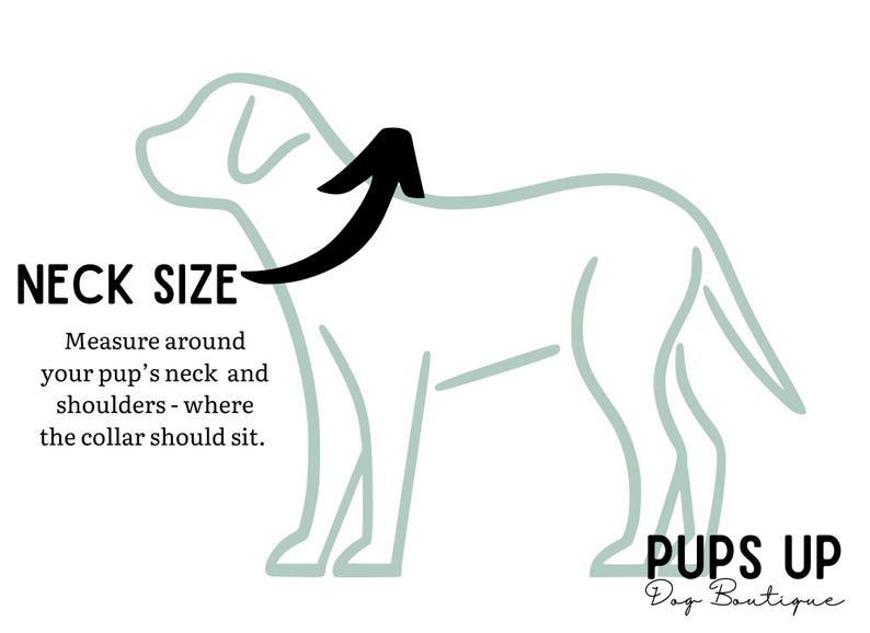 Puede incluir: Diagrama que ilustra c&oacute;mo medir el tama&ntilde;o del cuello de un perro para un collar. El texto dice "TAMA&Ntilde;O DEL CUELLO" con instrucciones para medir alrededor del cuello y los hombros. Una flecha negra indica el &aacute;rea de medici&oacute;n. El logotipo de Pups Up Dog Boutique est&aacute; en la esquina inferior derecha.