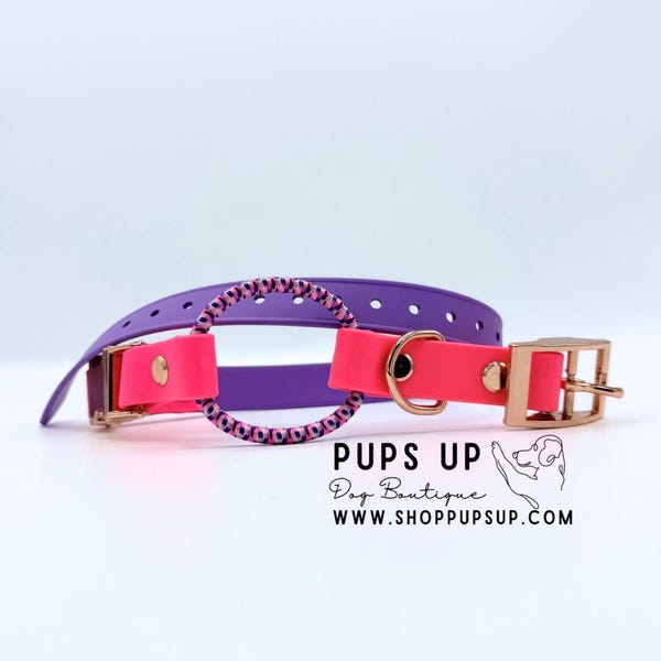 3/4" Biothane Quick Release Bungee E Collar Strap