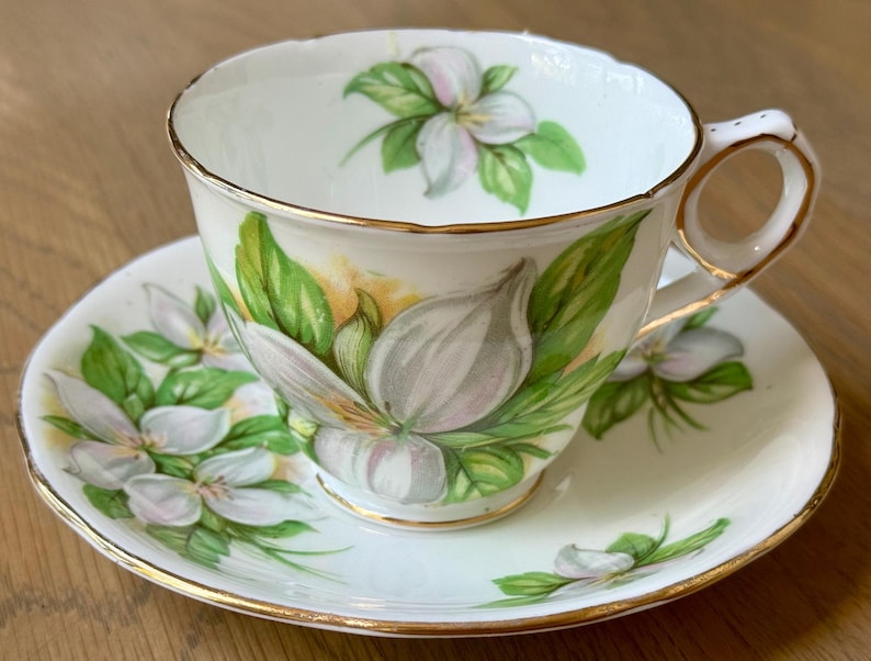 Royal Stafford Trillium Teacup & Saucer