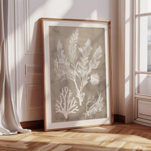 Impresión artística giclée de coral tropical: decoración de pared náutica moderna de mediados de siglo