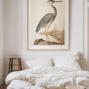 Vintage Heron Bird Art Print, Watercolor Painting - Blue Heron Wall Art, Large  Giclee 410