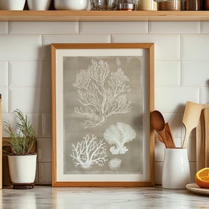 Impresión artística giclée de coral vintage: decoración de pared náutica moderna de mediados de siglo