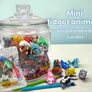 May include: A clear glass jar filled with assorted mini fidget animal figurines. A clear plastic bag with more animal figurines is in front of the jar. The text "Mini fidget animals" is in the background.