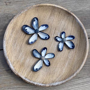 decorative bowl, shells, beach decoration, summer, sea