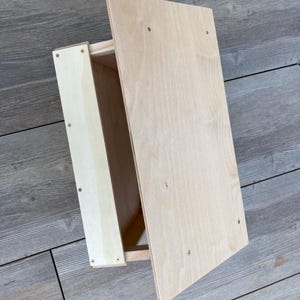 Birdhouse, bird feeder, feeding station, spring, great gift