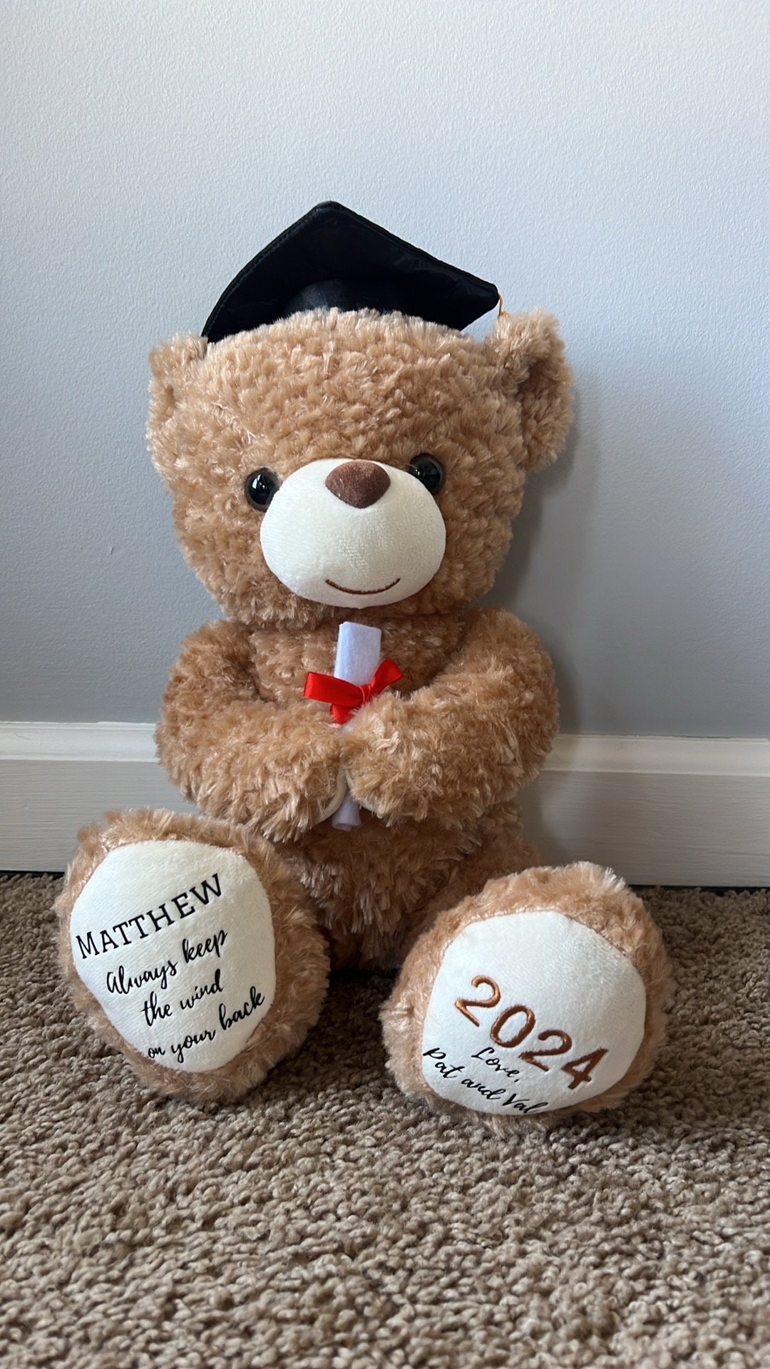 Personalized Graduation Teddy Bear - Class Of 2025, Custom Text/Name/Date, 11 Inch Stuffed Animal Gift - View #8