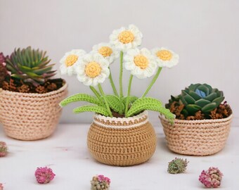 Flower Crochet DIY Kit, Tulip Sunflower Daisy Potted Crochet Craft, Step-by-Step Video Tutorial, Valentine's Gift, Birthday Gift for Her