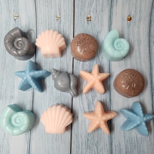 Seashell Soap Set - Triple Butter Soap - Seashell Soap - Ocean Theme - Ocean Lover - Beach Theme Soap - Soap Gift - Party Favor - Cute Gift