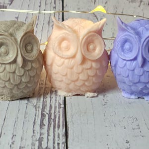 Mini Owl Soap Set: Triple Butter, Whimsical Party Favors