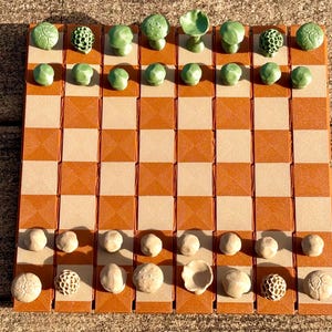 Op de afbeelding: Een unieke schaakset met een bruin en beige geblokt bord. De schaakstukken zijn groen paddenstoelvormig en beige, wat een grillige toets toevoegt aan het klassieke spel. Het bord meet ongeveer 30 cm bij 30 cm.