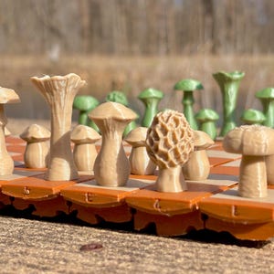 Op de afbeelding: Een schaakspel met paddenstoelthema. De schaakstukken zijn ontworpen om op verschillende soorten paddenstoelen te lijken in tinten bruin en groen. Het bord is oranje en bruin. De set wordt buiten tentoongesteld.
