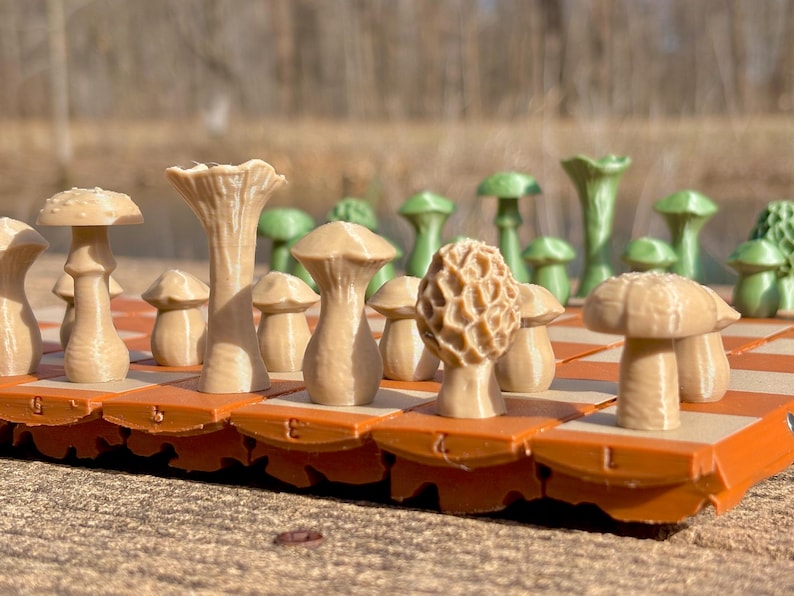 Op de afbeelding: Een schaakspel met paddenstoelthema. De schaakstukken zijn ontworpen om op verschillende soorten paddenstoelen te lijken in tinten bruin en groen. Het bord is oranje en bruin. De set wordt buiten tentoongesteld.