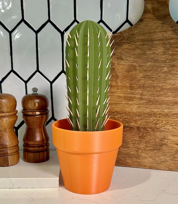 dracaena marginata drachenbaum Drachenbaum 'Marginata' | kaufen