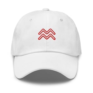 Aquarius Zodiac Sign Hat Embroidered Dad Hat Adjustable Strap Gift for Aquarius Birthday Gift Astrology Hat Horoscope Water Bearer Cap