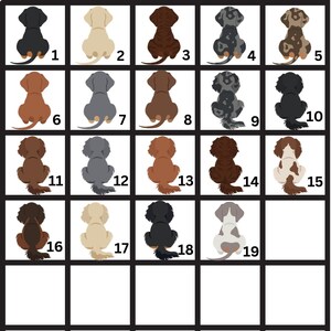 Puede incluir: Una cuadr&iacute;cula de 19 ilustraciones de perros salchicha en varios colores y patrones. Cada perro se representa desde arriba, mostrando su espalda y cola. Los perros est&aacute;n numerados del 1 al 19.