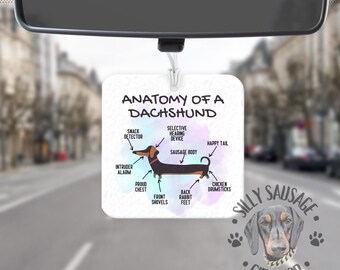 Dachshund Car Freshener - Sausage Dog Car Freshner - Dachshund Owner Gift - anatomía de un dachshund - regalo para el dueño de dachshund - Doxie