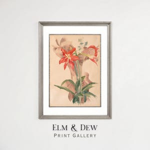 Red Amaryllis Botanical Art Print, Vintage Floral Watercolor Painting, Elegant Flower Wall Decor, Nature-Inspired Digital Download