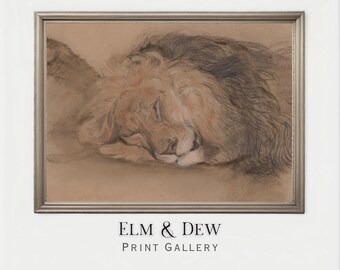 Sleeping Lion Sketch, Vintage Animal Drawing, Wildlife Wall Art, Rustic Nature Print, Neutral Animal Decor, Printable Digital Download
