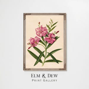 May include: A framed botanical print featuring pink flowers with green leaves and stems. The flowers have a striped pattern. The print is set against a cream background and framed in a decorative, light brown frame. The text "ELM & DEW PRINT GALLERY" is at the bottom.