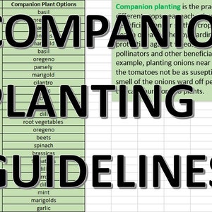 May include: A green and white chart with the title "Companion Planting Guidelines". The chart lists different plants and their companion plants, such as tomatoes with basil, oregano, parsley, marigold, and cilantro.