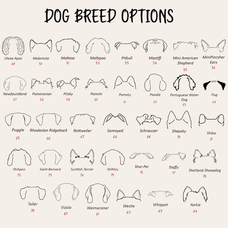 May include: A beige graphic featuring the text "DOG BREED OPTIONS" above line drawings of various dog breeds' ears, including Lhasa Apso, Maltese, and Pug. Each breed is labeled with a number.