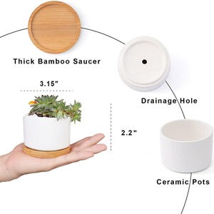 May include: A white ceramic pot with a succulent plant, sitting on a bamboo saucer. The pot is 3.15 inches wide and 2.2 inches tall. The image also shows a bamboo saucer and a pot with a drainage hole.