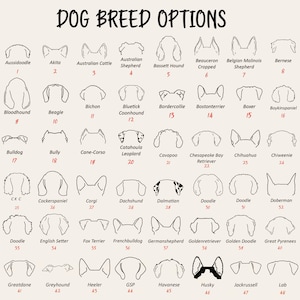May include: A beige poster with the text "DOG BREED OPTIONS" and illustrations of dog ears. Each ear illustration is labeled with a breed name and a number. Breeds include Aussiedoodle, Akita, Beagle, and more.