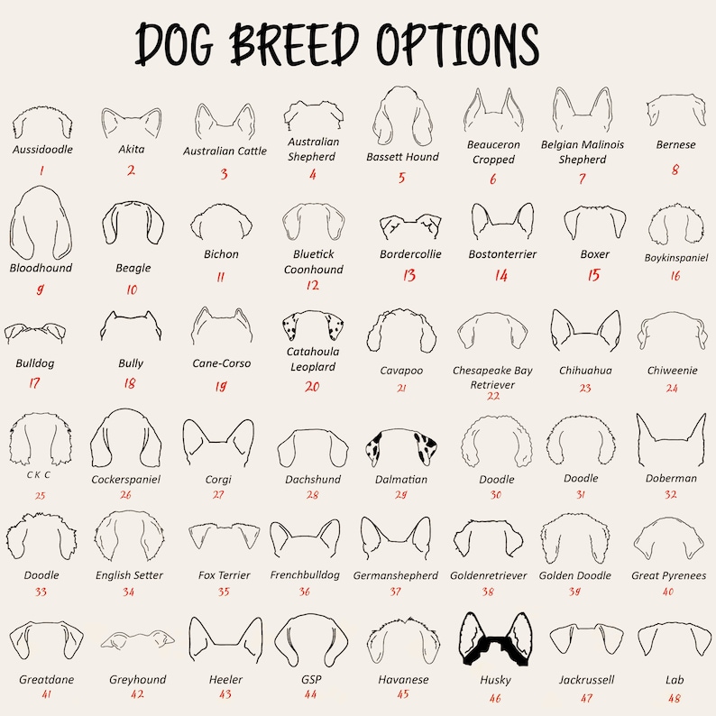 May include: A beige poster with the text "DOG BREED OPTIONS" and illustrations of dog ears. Each ear illustration is labeled with a breed name and a number. Breeds include Aussiedoodle, Akita, Beagle, and more.