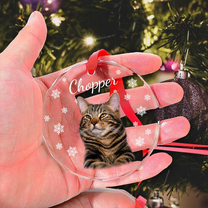 May include: A clear glass Christmas ornament with a tabby cat image and the name "Chopper" printed on it. The ornament is decorated with white snowflakes and has a red ribbon.