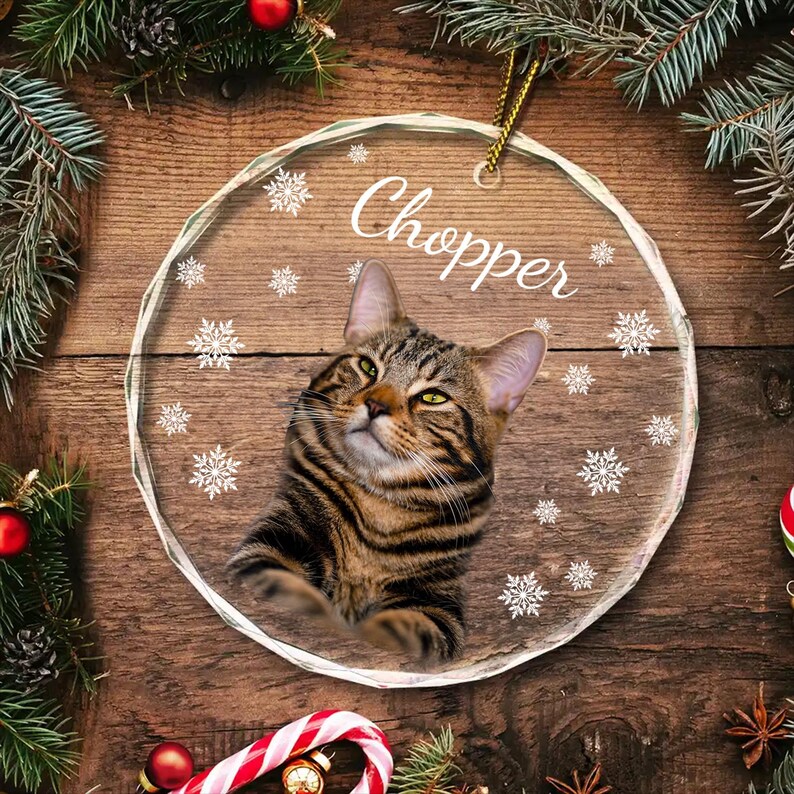 May include: A clear glass Christmas ornament with a tabby cat image and the name "Chopper" printed on it. The ornament is decorated with snowflake designs.