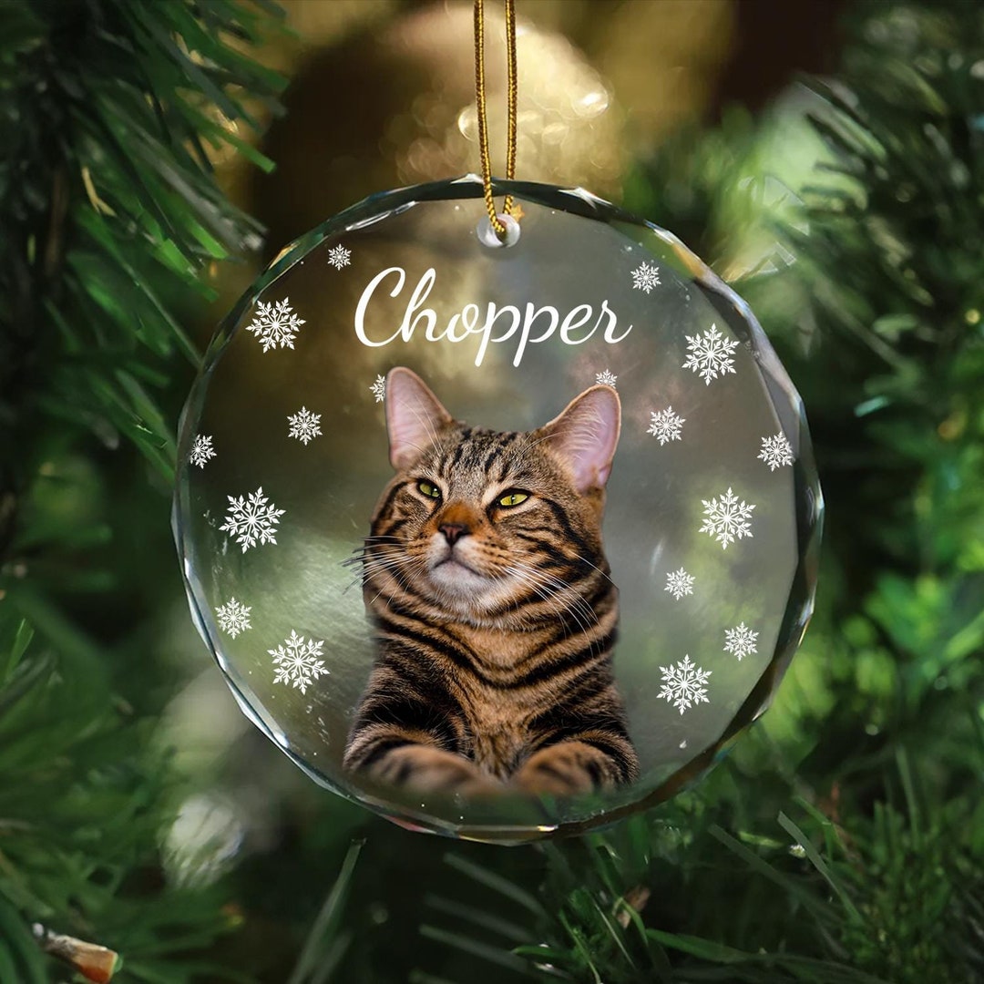 Personalized Cat Ornament Custom Cat Photo Ornament Pet Portrait ...