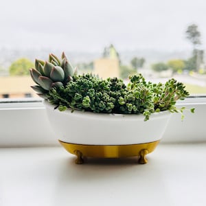 May include: A white bathtub-shaped planter with gold trim and feet, filled with a variety of green succulents.