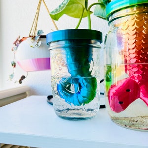 May include: Two glass jars with clear water and plant cuttings. The jar on the left has a green plant cutting with blue roots. The jar on the right has a red and orange mermaid tail ornament.