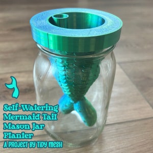 Mermaid Tail Self Watering Planter Pot 3D printed cute gift decor indoor plants house houseplants Small Mason Canning Jar Cutting Scale Fish