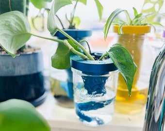 Octopus Tentacle Self Watering Planter Pot 3D Print Cute Gift Decor Indoor  Plants House Houseplants Small Mason Canning Jar Cutting Blue Pon - Etsy
