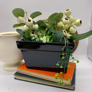 以下が含まれることがあります： 緑と白い実で満たされた黒い長方形のプランターが、オレンジと青の表紙の2冊のヴィンテージ本の上に置かれています。左側にはクリーム色の花瓶があります。