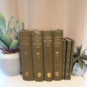 Op de afbeelding: Een verzameling van zes olijfgroene boeken met harde kaft getiteld Annual Report of the Bureau of American Ethnology, voorzien van goudkleurige tekst en decoratieve emblemen op de ruggen, verticaal opgesteld in een rij met diverse jaartallen.