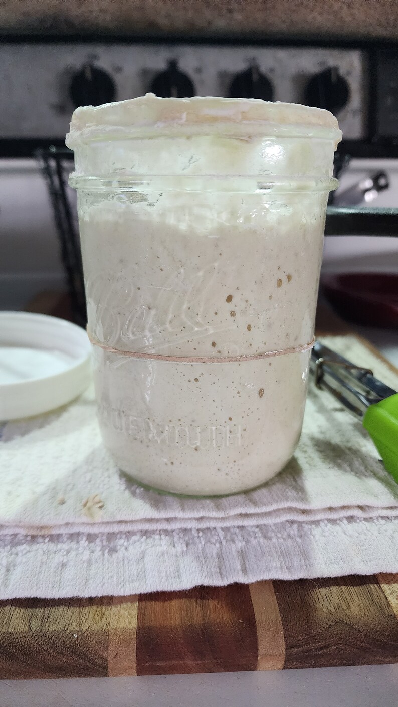 Beginner Organic Einkorn Flour Freeze Dried Sourdough Starter also