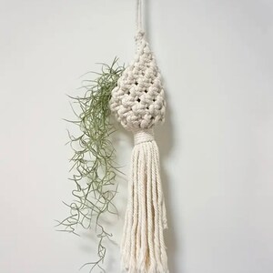 May include: A cream macrame plant hanger featuring a woven basket design and a long tassel. It holds a green air plant. The macrame is suspended from a white cord, creating a bohemian aesthetic, perfect for indoor plants.