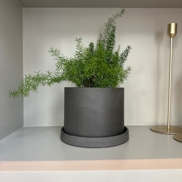 Modern Cement Planter 6” ( CUSTOM COLOR) with drainage hole and tray