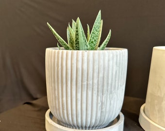 Fluted Cement Planter 4” (CUSTOM COLOR) with drainage hole and tray