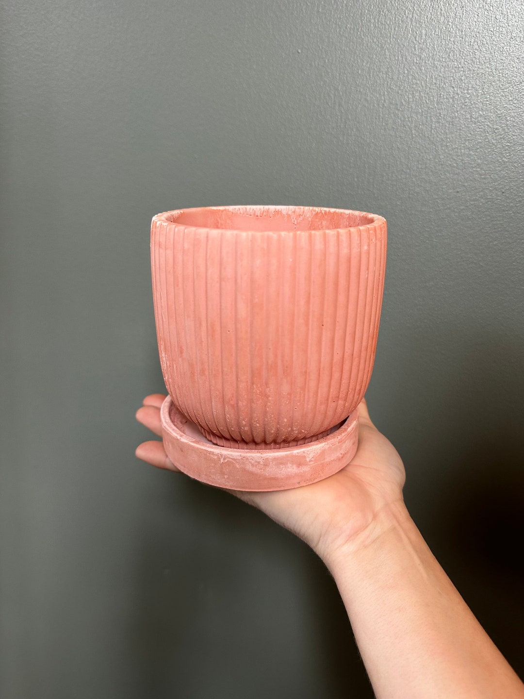 Ribbed Cement Planter 4 With Drainage Hole and Trayterra COTTA - Etsy