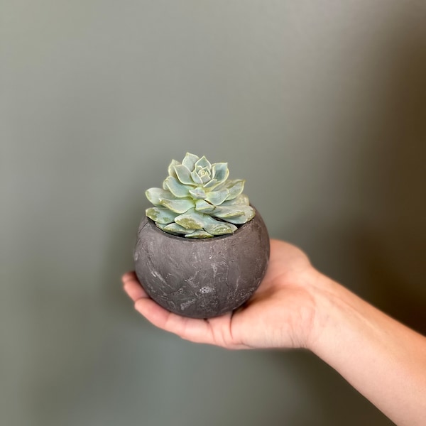 3” Modern sphere (CHARCOAL) concrete planter with drainage hole