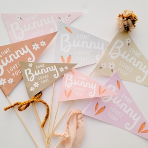 May include: Six triangular pennants with the text "Some Bunny Loves You!" in white script on a variety of pastel backgrounds. The pennants are attached to wooden sticks and tied with brown twine.