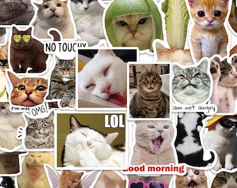 Adesivos de meme de gato viral | Pacote de expressão clássica de 50 peças | Material de decoração divertido