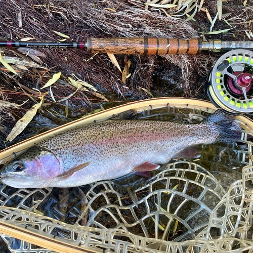 Orvis フライロッド GRA MKⅡ オールラウンダー Orvis フライロッド GRA MKⅡ オールラウンダー