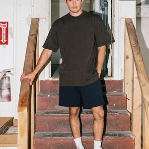 Pu&ograve; includere: Una persona indossa una maglietta marrone a maniche corte, pantaloncini blu navy, calzini bianchi e scarpe da ginnastica bianche. La persona &egrave; in piedi su una scala di legno rossa con un corrimano in legno.